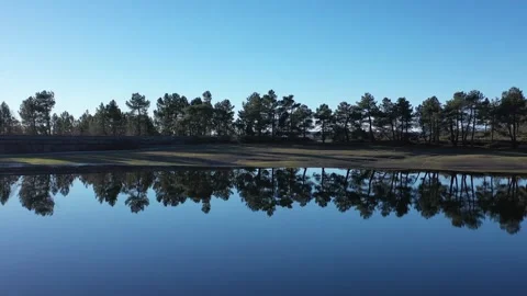 A forest is reflected in the calm waters of a lake. Preserving the environment Stock Footage 261993710