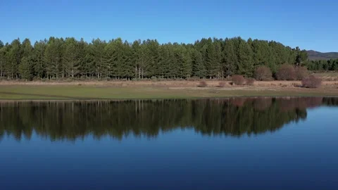 A forest is reflected in the calm waters of a lake. Preserving the environment Stock Footage 261996350