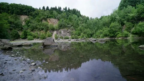 Forest Reflected in a Lake Video stock 171242723