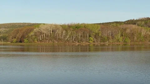 Forest Reflected on a Lake in Spring- Jimtown, Nova Scotia Stock Footage 90496741