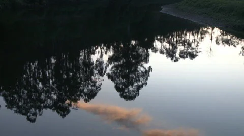 Forest reflected in lake at sunset  Stock Footage 624750