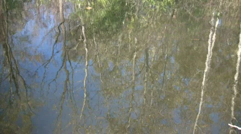 Forest is reflected in the rippling water's surface (High Definition) Video stock 364852