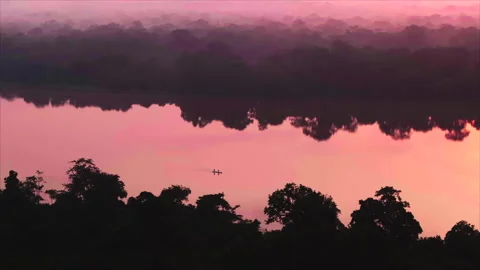 Forest reflected in river water with single pirogue, Ouesso, Congo Stock Footage 331999939