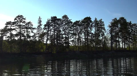 The forest reflected in the water Stock Footage 54804453
