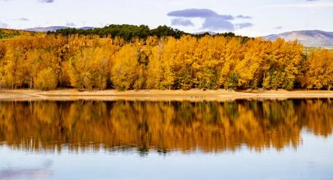 Forest reflected in the water Stock Photos