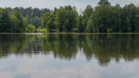 Forest reflection in a calm pond, horizontal orientation Stock Photos
