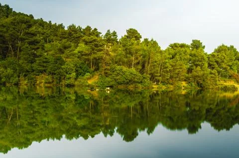 Forest reflection on calm waters of Beletsi Lake in Attica, Greece. Stock Photos