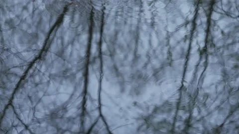 Forest reflection. Circles on the water. Loop 3 Stock-Footage 130664320