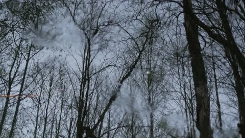 Forest reflection. Circles on the water. Loop 1 Stock-Footage 130664566