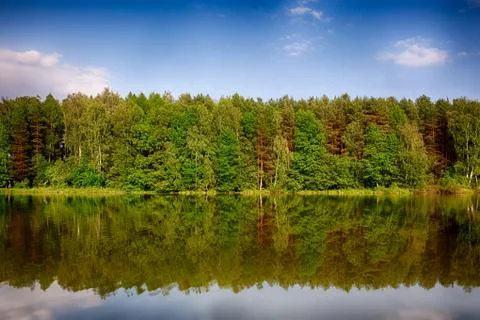 Forest reflection in the lake Stock Photos