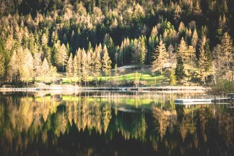 Forest reflection Stock Photos