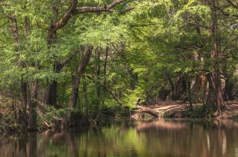 Forest reflection on the river with a nice walk path by the side Stock Photos