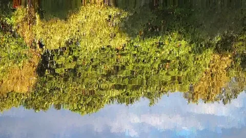 Forest reflection in a slowly moving pond changes with abstract effect Stock Footage 92802336