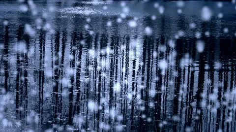 Forest reflection in water,ripple,snow. Stock Footage