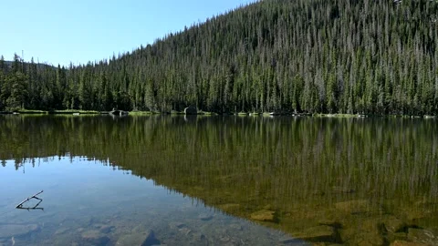 Forest Reflections at Spruce Lake Stock Footage 147932971