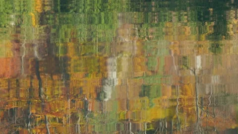 Forest reflections in the water of the lake Video stock 226250375