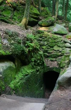 Forest refuge Stock Photos