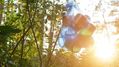 In the forest reserve there is a package with garbage on the background of the Photos