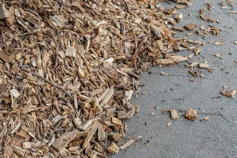 Forest residues mulched as wood chips used for heating. Pile of wood chip par Stock Photos