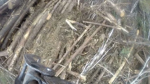 Forest residues sweeper Stock Footage 84195803