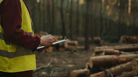 Forest resource engineer, holding tablet in his hands, conducts an audit of Stock Footage 276575498