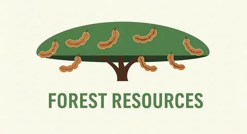 Forest resources flat illustration with tamarind tree bearing multiple frui.. Stock Illustration