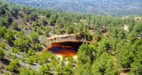 Forest restoration in abandoned opencast mining pit near Kinousa, Cyprus Stock Photos