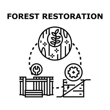 Forest restoration process regenerating ecosystem with environmental care Stock Illustration