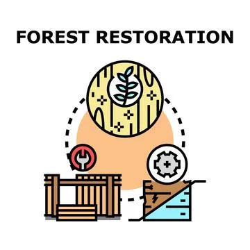 Forest restoration process regenerating ecosystem with environmental care Stock Illustration