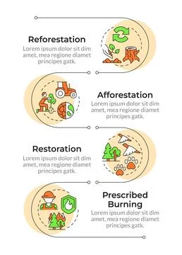 Forest restoration types infographic vertical sequence Stock Illustration