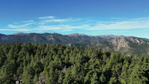 Forest revealing mountains. Stock Footage 257613221