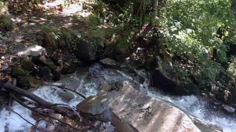 Forest River 14 Vídeo Stock 91656127