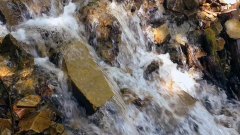 Forest River 18 Vídeo Stock 91656249