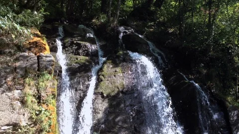 Forest River 22 Vídeo Stock 91656340