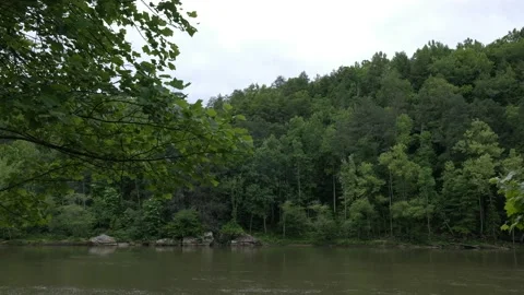 Forest with River 4K 動画素材 155363214