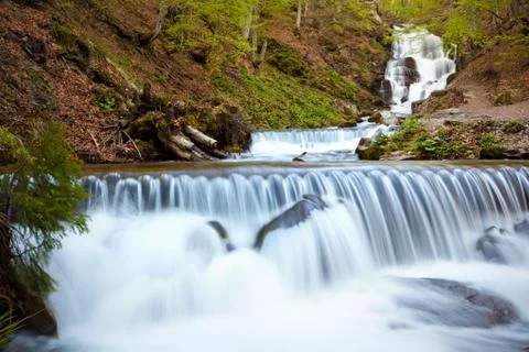 Forest river with active water flow Stock-Fotos