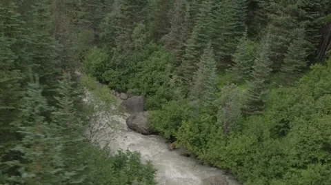 Forest river aerial Stock Footage 32689975