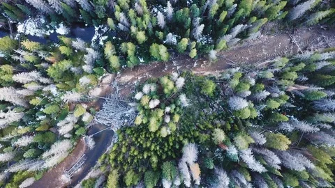 Forest river aerial Stock Footage 91553477