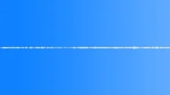 Forest River Ambience. Birds, Water Sound Effect