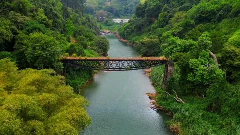 Forest river and bridge drone shot view Stock-Footage 268897840