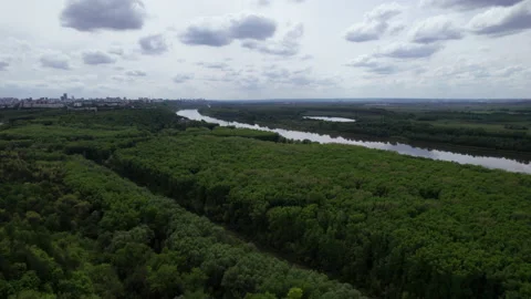 Forest, river and clouds Stock Footage 219483487