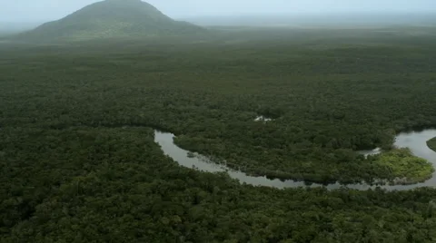 The forest with the river and a mountain in the background Stock Footage 52338021