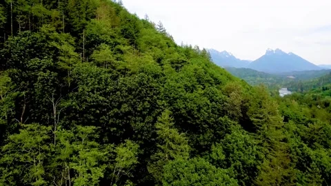 Forest With River And Towering Mountains In Background. Index Washington State Stock Footage 140610886