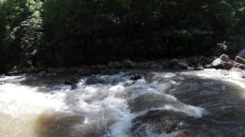 Forest river and waterfall Stock Footage 52602947