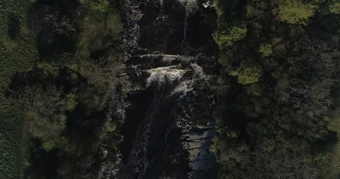 Forest river and waterfall Stock Footage 114009878