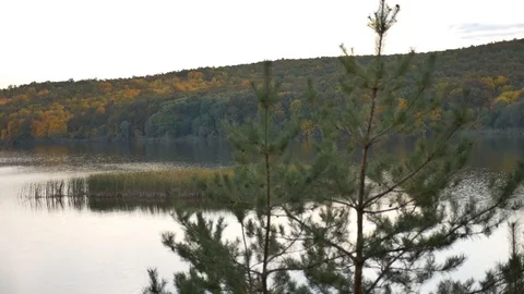 Forest river in autumn 스톡 동영상 81904481