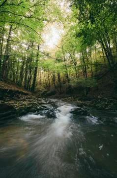 Forest river in autumn Stock Photos