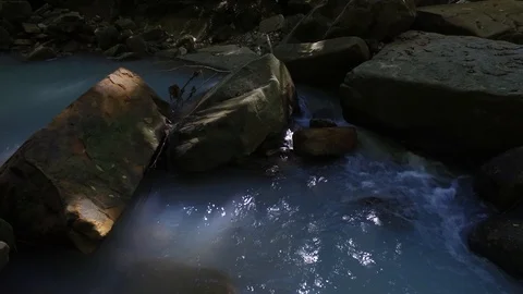 Forest river background Stock Footage 116598161