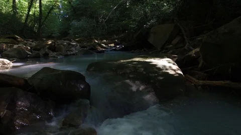 Forest river background Stock Footage 116598189