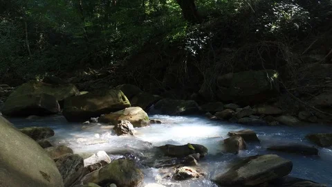 Forest river background Stock Footage 116598327